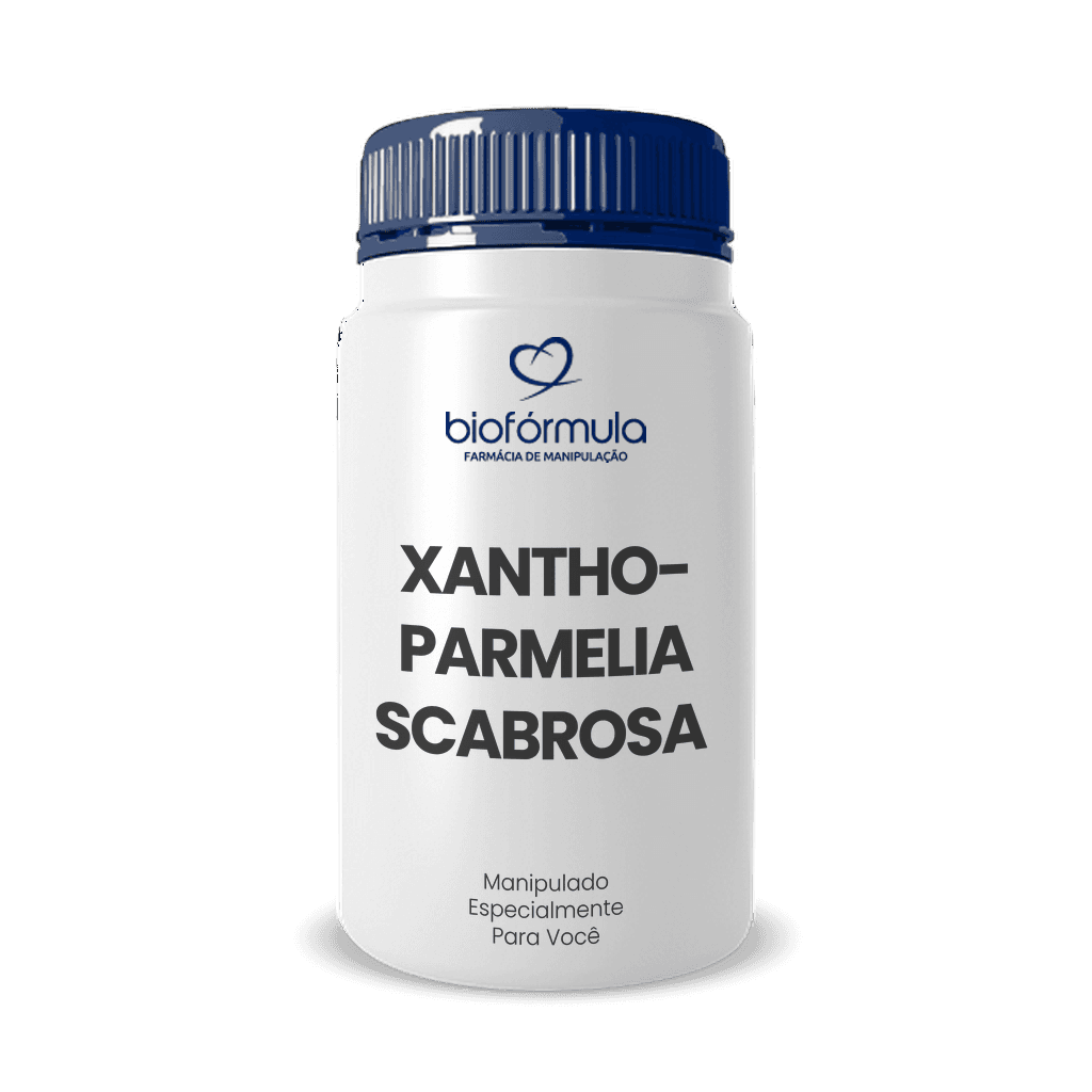 Xanthoparmelia Scabrosa